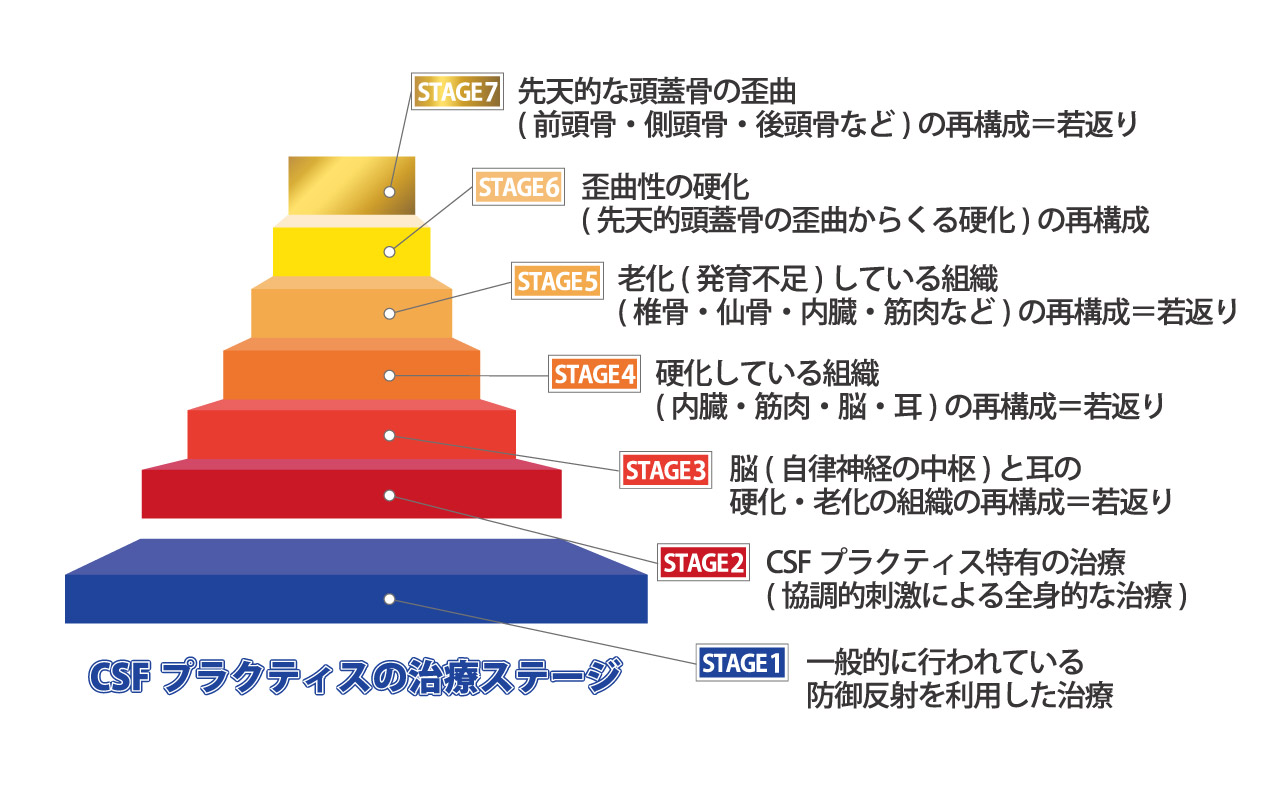 CSFプラクティス（脳脊髄液調整法）とは | 脳脊髄液調整法 