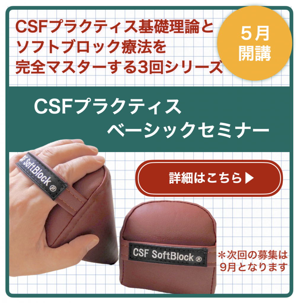 脳脊髄液調整法(CSFプラクティス) ソフトブロックテクニックの 